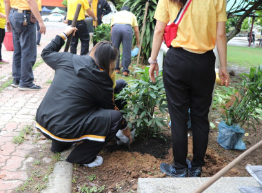 สหกรณ์จังหวัดพิษณุโลก ... พารามิเตอร์รูปภาพ 8